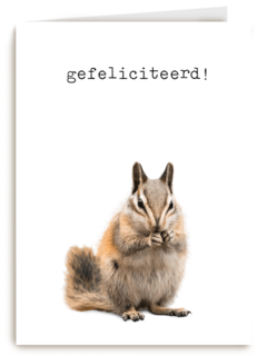Gefeliciteerd kaart furry cuddles eekhoorn