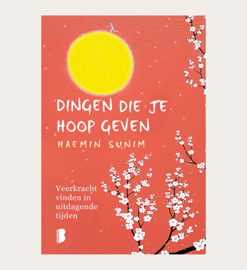 Boek Dingen Die Je Hoop Geven | Hallmark Cadeau Boeken |