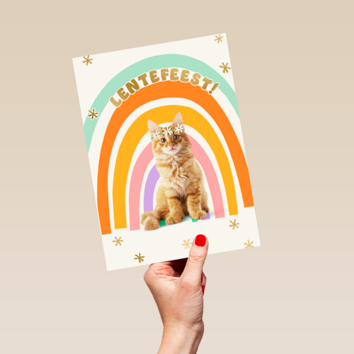 Regenboog Kat Lentefeest