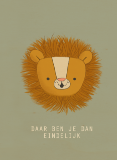 geboorte jongen daar ben je dan eindelijk