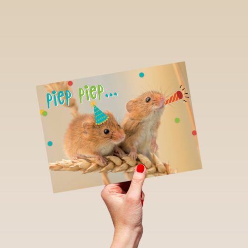 animal fiesta piep piep