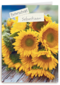beterschapskaart met zonnebloemen