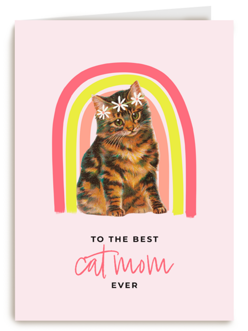 To the beste cat mom ever
