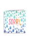 sorry sorry