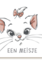 geboorte felicitatie Disney meisje