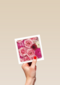 flash bloemen roze