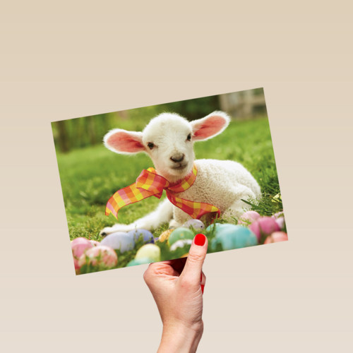 schattig lammetje met een sjaaltje en paaseitjes om zich heen