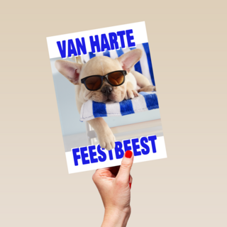 Verjaardag Feestbeest Hond