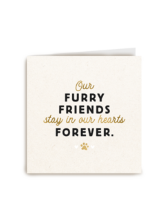 our furry friends stay in our hearts forever