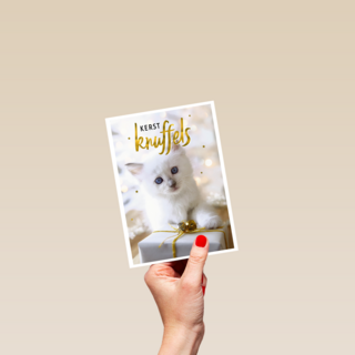kerstknuffel van een kitten