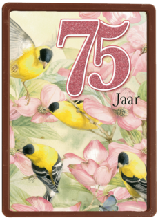 verjaardag leeftijden marjolein bastin 75