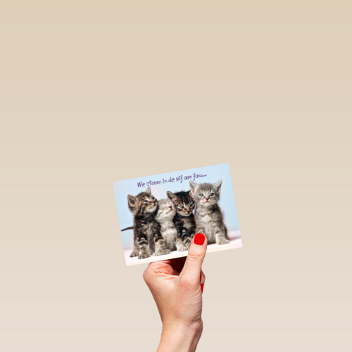 Kittens