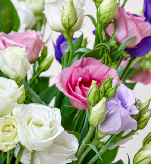 Boeket Bloemen Koninklijke Pracht