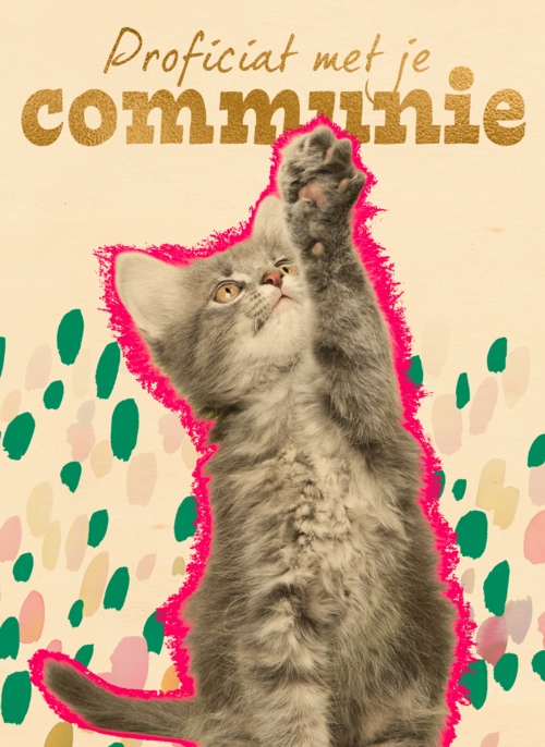 Houten Kaart Communie | Houten Kaart Hallmark | Communie | Proficiat Met Je Communie Kat