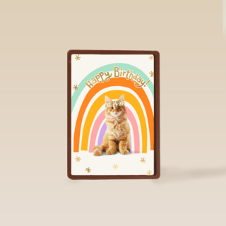 Regenboog kat Happy Birthday