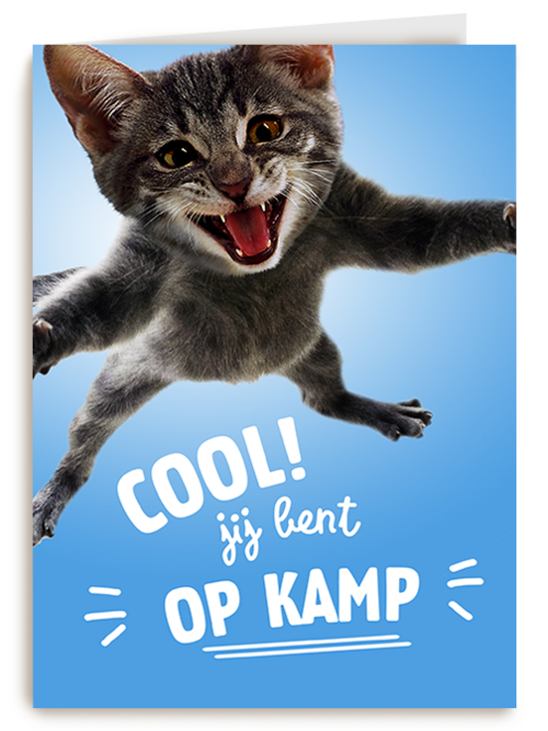 Cool Jij Bent Op Kamp Kat