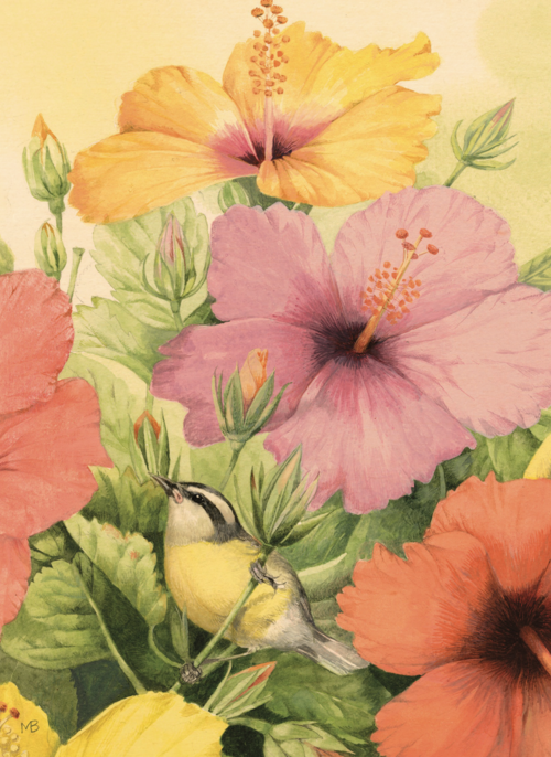 Houten Kaart | Gardening Angels