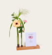 Brievenbuspakket Kaartenhouder Flowershot Deluxe