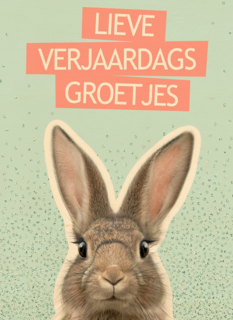 een konijntje voor je verjaardag