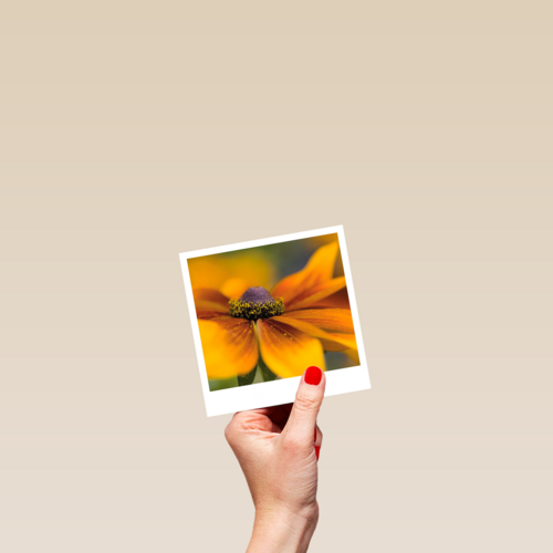 Sterkte kaart gele bloem Polaroid