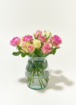 Brievenbusbloemen Rozen Pastel Crush