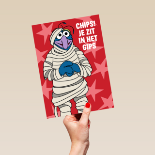 Disney Beterschap Je Zit In Het Gips