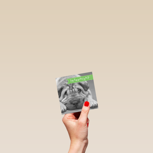 zielige hond beterschap
