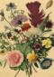 studio art kaart van schilderij met bloemen blanco