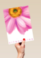 grote roze gerbera