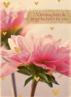 moederdag kaart vandaag ben ik in gedachten bij jou