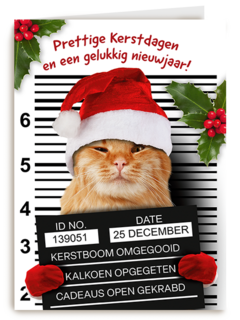 Prettige Kerstdagen Kat Met Kerstmuts