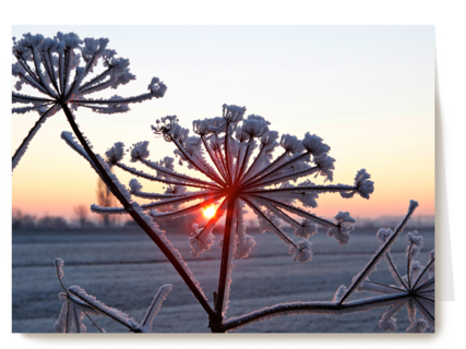 sneeuwlandschap met ondergaande zon