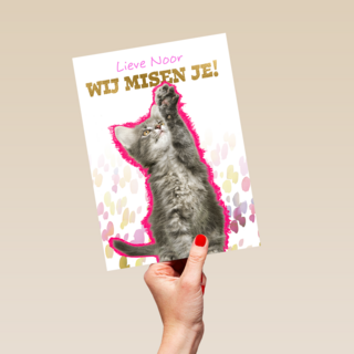 Lieve we missen je kat Op Kamp