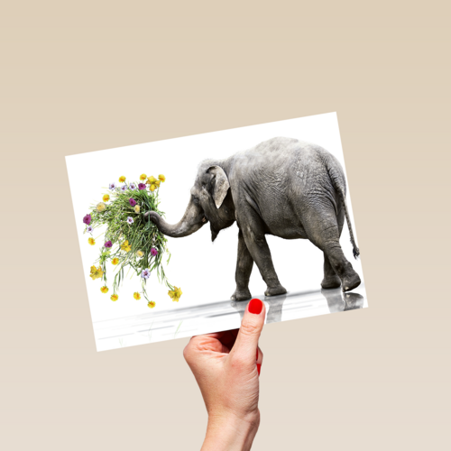 Chromazone Olifant boeket