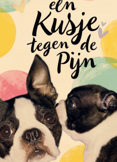 Beterschapskaart Hond Een kusje tegen de pijn