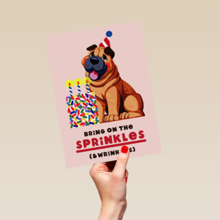 Verjaardag Sprinkles And Wrinkles