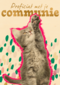 Proficiat met je communie kat