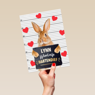 valentijn kaart konijn grappig jij bent mijn hartendief