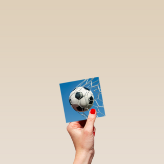 voetbal in het net