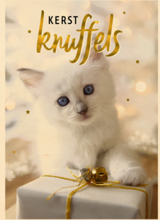 kerstknuffel van een kitten
