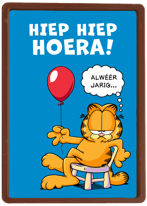 Verjaardagskaart Hallmark | Garfield Alweer Jarig