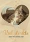 Fotokaart veel sterkte met verlies kat