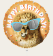 Ballon Happy Birthday Lama Oranje