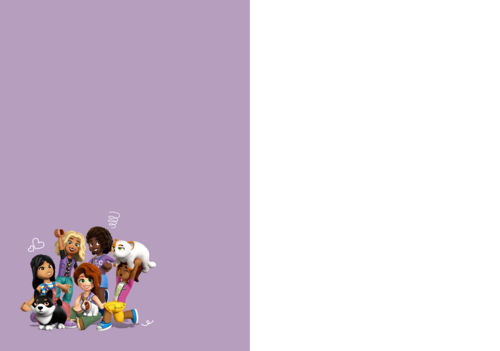 Lego Friends Jij Bent Top