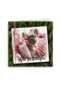 kerstkaart fotokaart hond fijne feestdagen