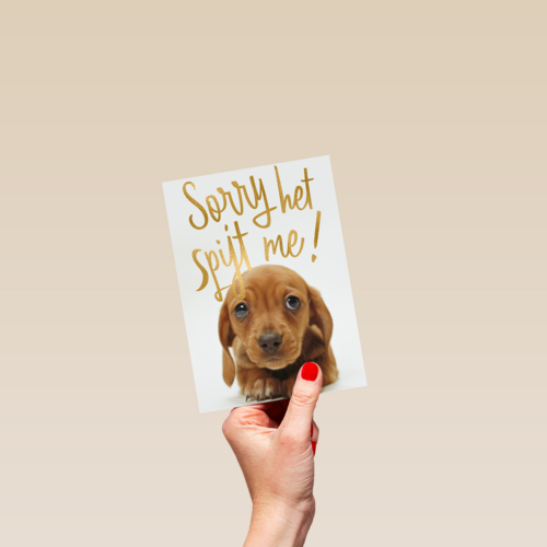 verjaardag te laat sorry het spijt me puppy
