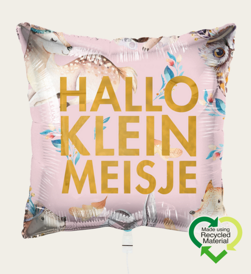 Ballon Hallo Klein Meisje Roze Goud Eco