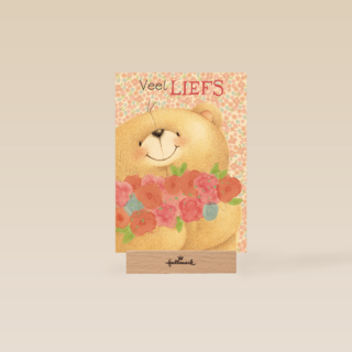 moederdag lief veel liefs forever friends beer