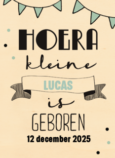 hoera een kleine prins is geboren
