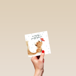 Geboortefelicitatie een lief klein jongetje